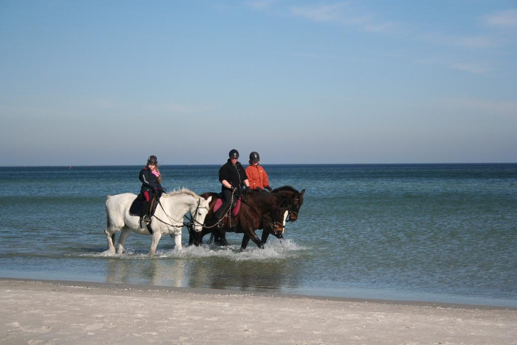 Ferienwohnung Ostseestrand Zingst Ruang foto